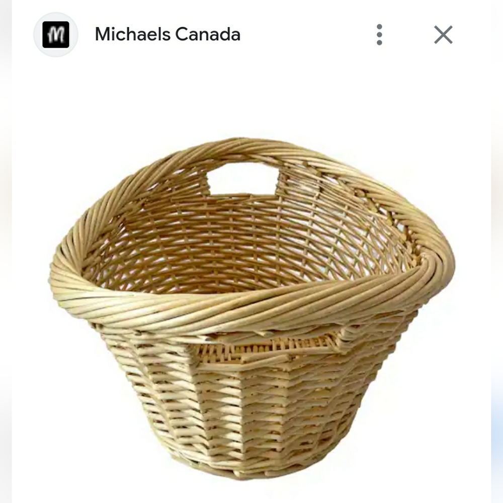 Big Fruit basket